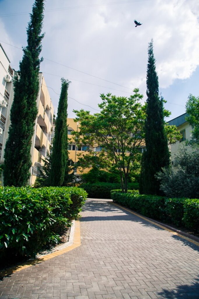 Гостиница Пансионат Нева Алушта-62