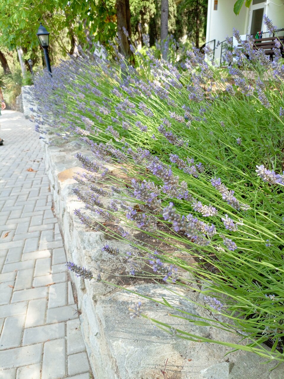 Гостиница Пансионат Нева Алушта-228