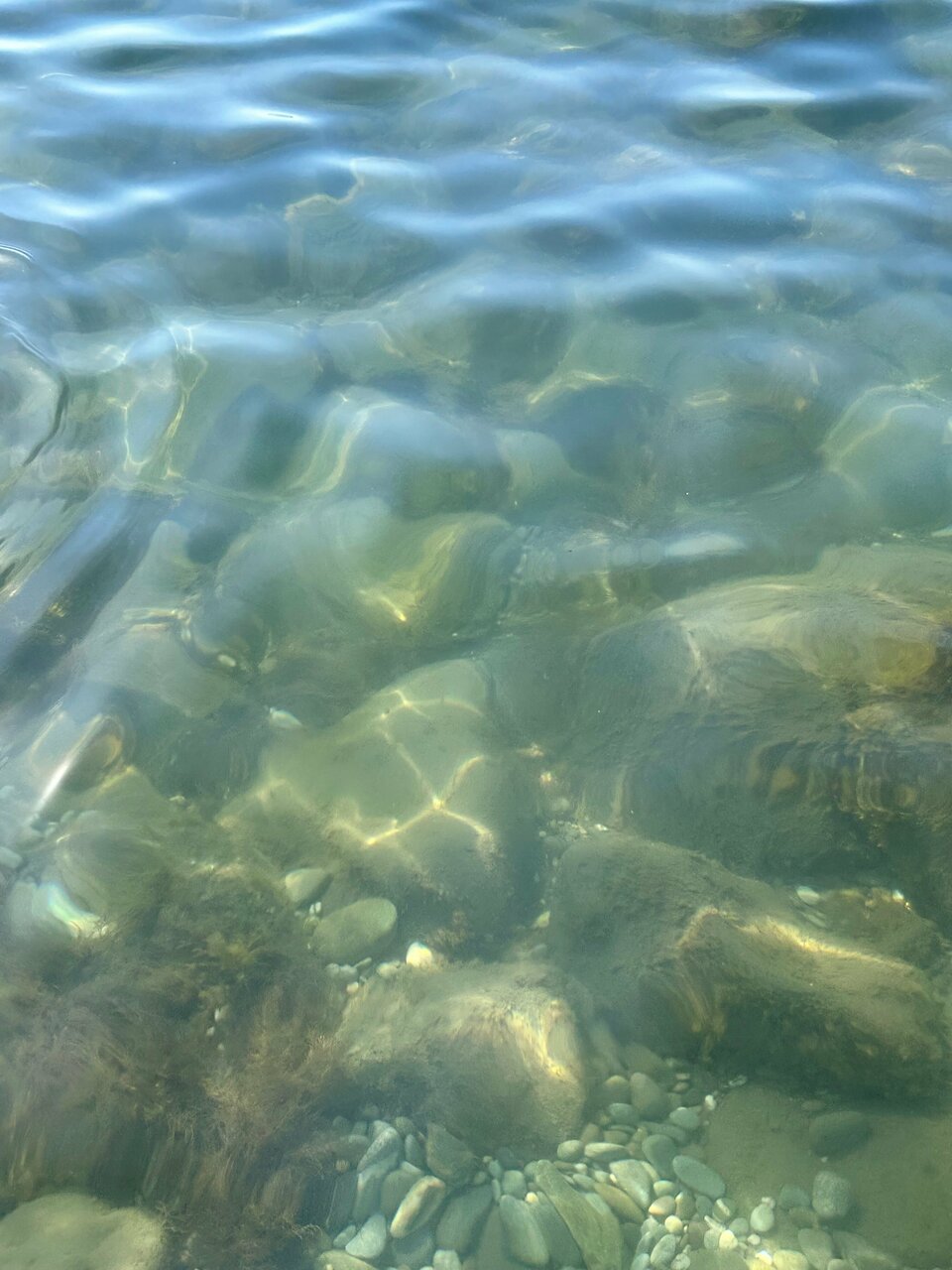 Гостиница Пансионат Нева Алушта-236