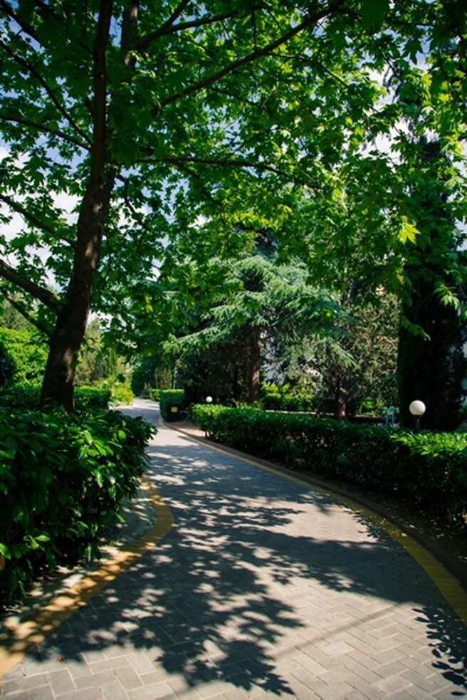 Гостиница Пансионат Нева Алушта-41