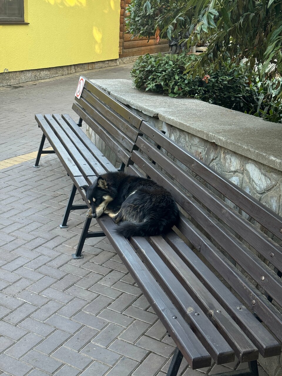 Гостиница Пансионат Нева Алушта-234