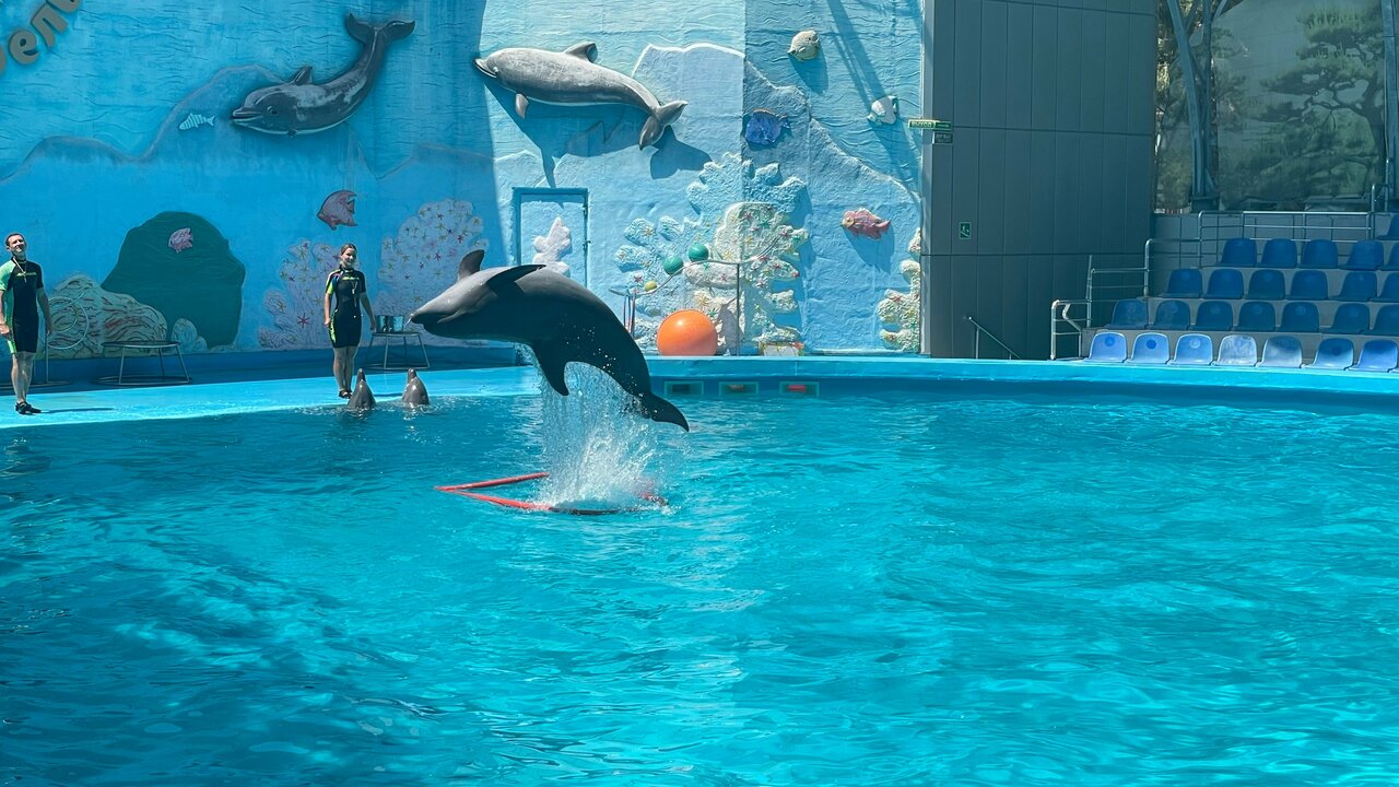 Гостиница Пансионат Нева Алушта-220