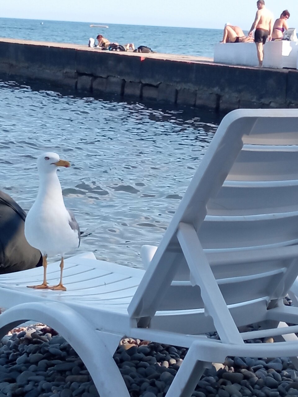 Гостиница Пансионат Нева Алушта-251