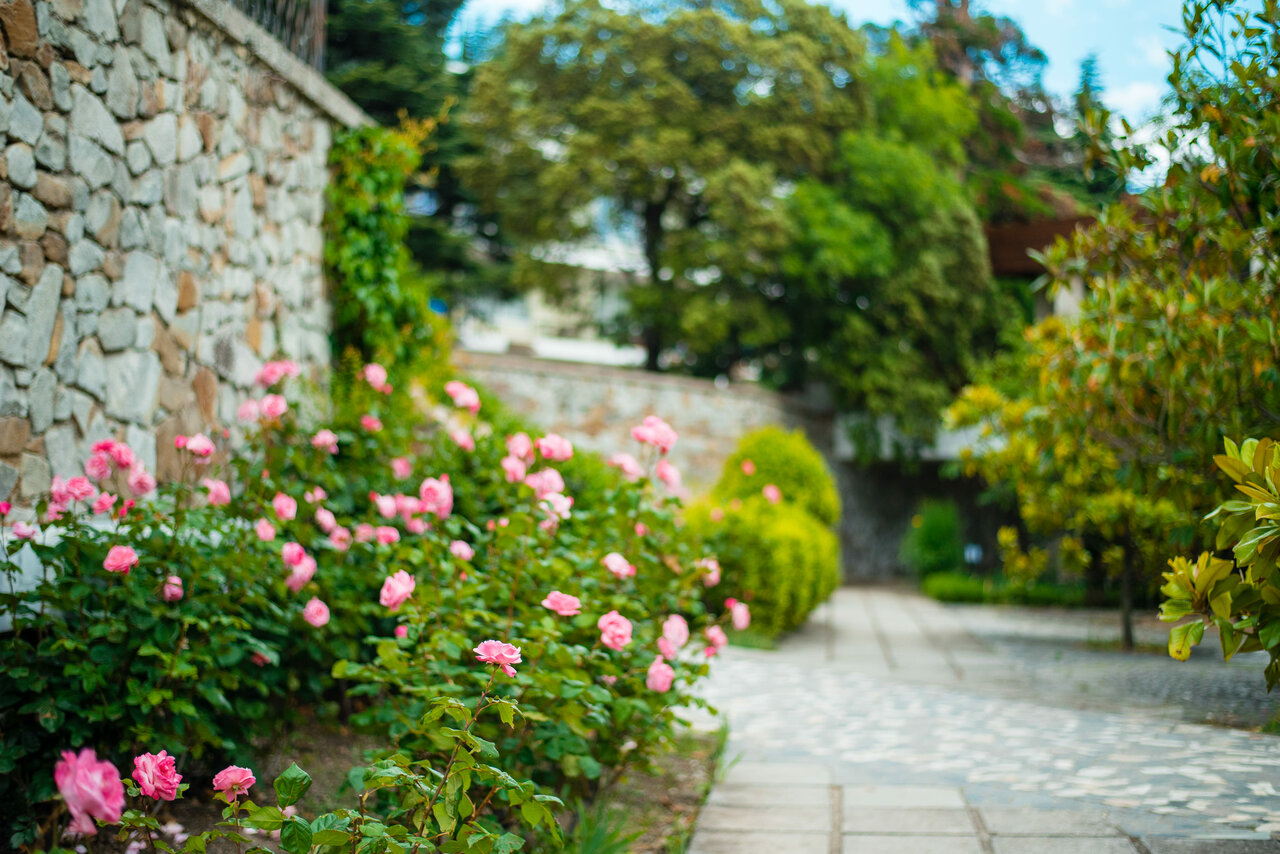 Гостиница Пансионат Нева Алушта-64