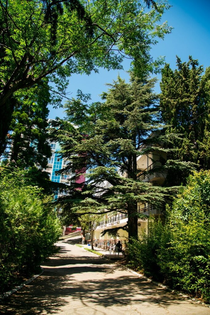 Гостиница Пансионат Нева Алушта-22