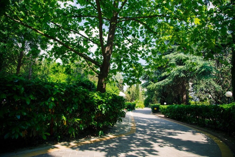 Гостиница Пансионат Нева Алушта-69