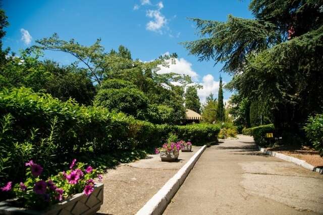 Гостиница Пансионат Нева Алушта-57