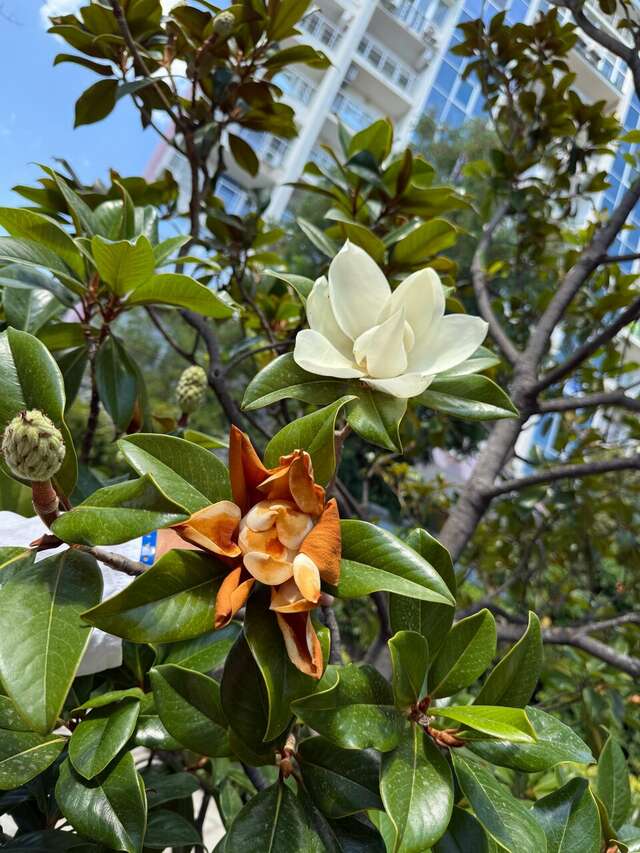 Гостиница Пансионат Нева Алушта-224