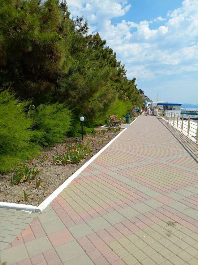 Гостиница Пансионат Нева Алушта-238