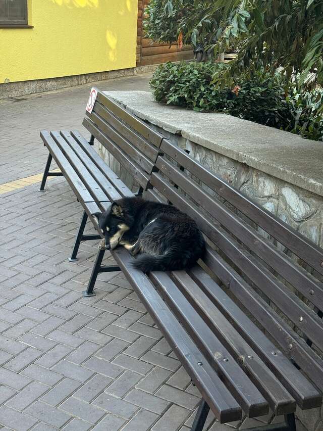 Гостиница Пансионат Нева Алушта-233