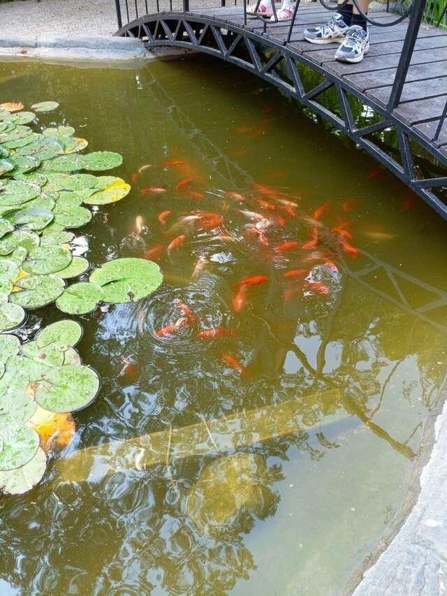 Гостиница Пансионат Нева Алушта-222