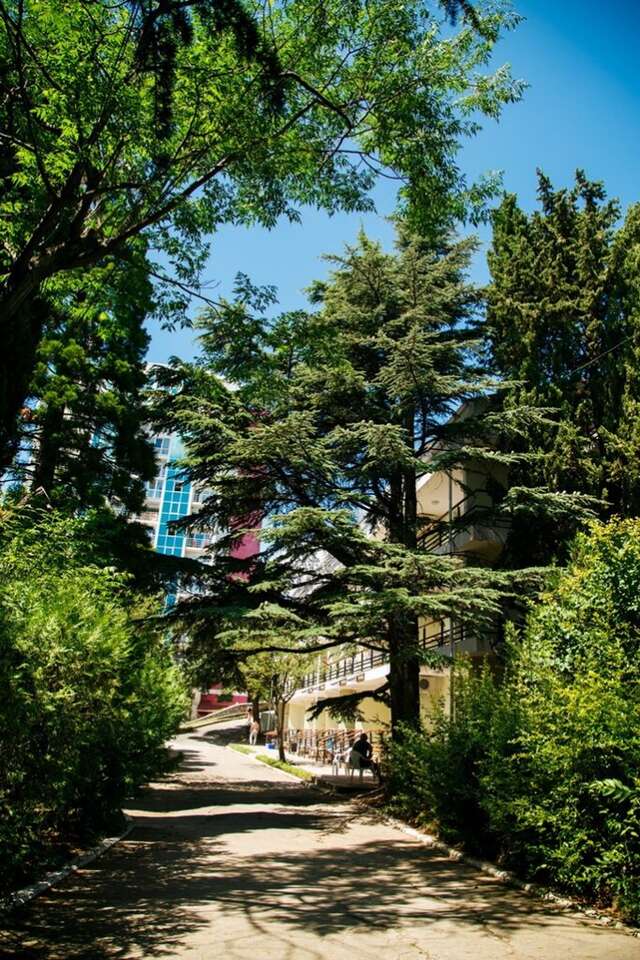 Гостиница Пансионат Нева Алушта-21