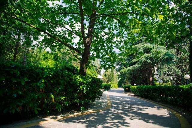 Гостиница Пансионат Нева Алушта-68